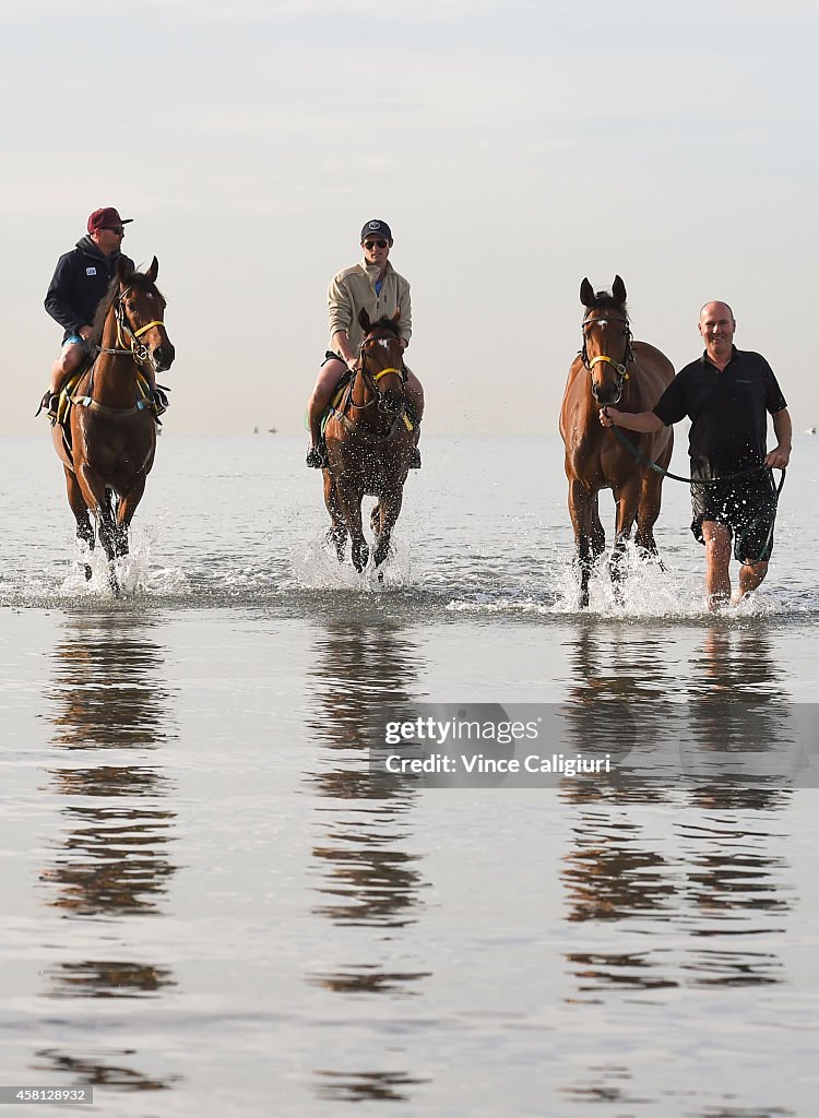 Melbourne Trackwork Session