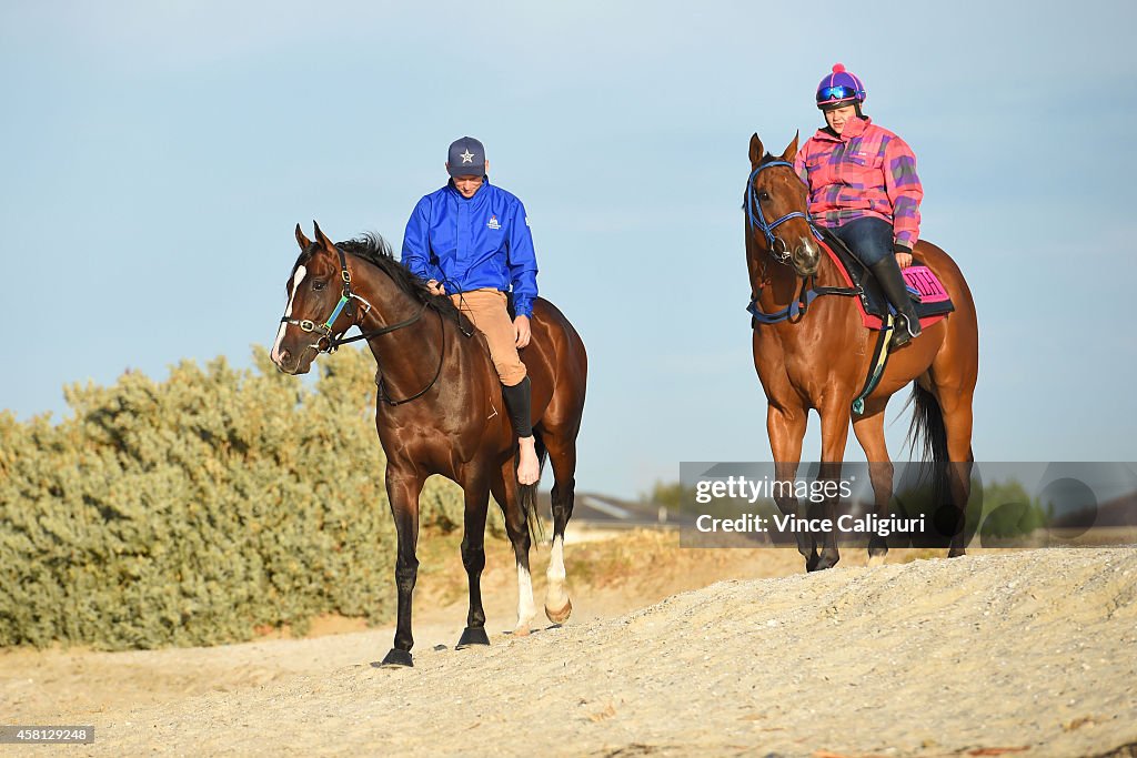 Melbourne Trackwork Session