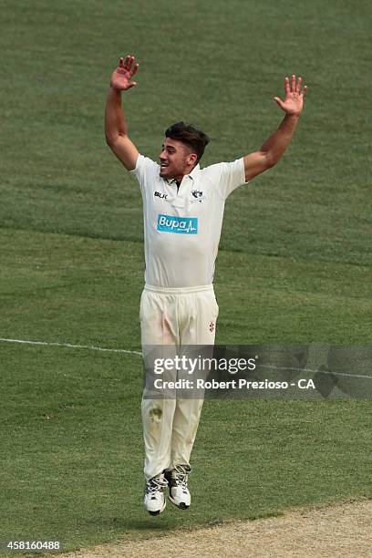 Marcus Stoinis of the Bushrangers appeals unsuccessfully for the wicket of Will Somerville of the Blues during day one of the Sheffield Shield match...