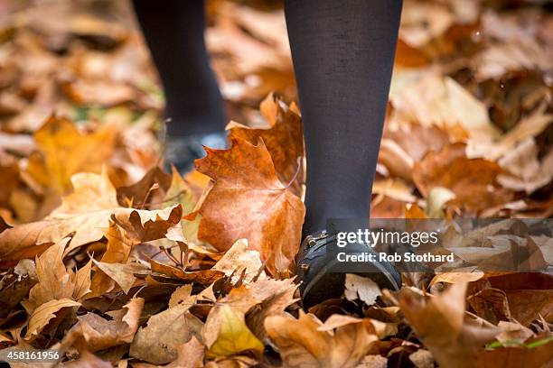 Woman walks through leaves in Hyde Park on October 31, 2014 in London, England. Temperatures in London are forecasted to exceed 20 degrees, making...