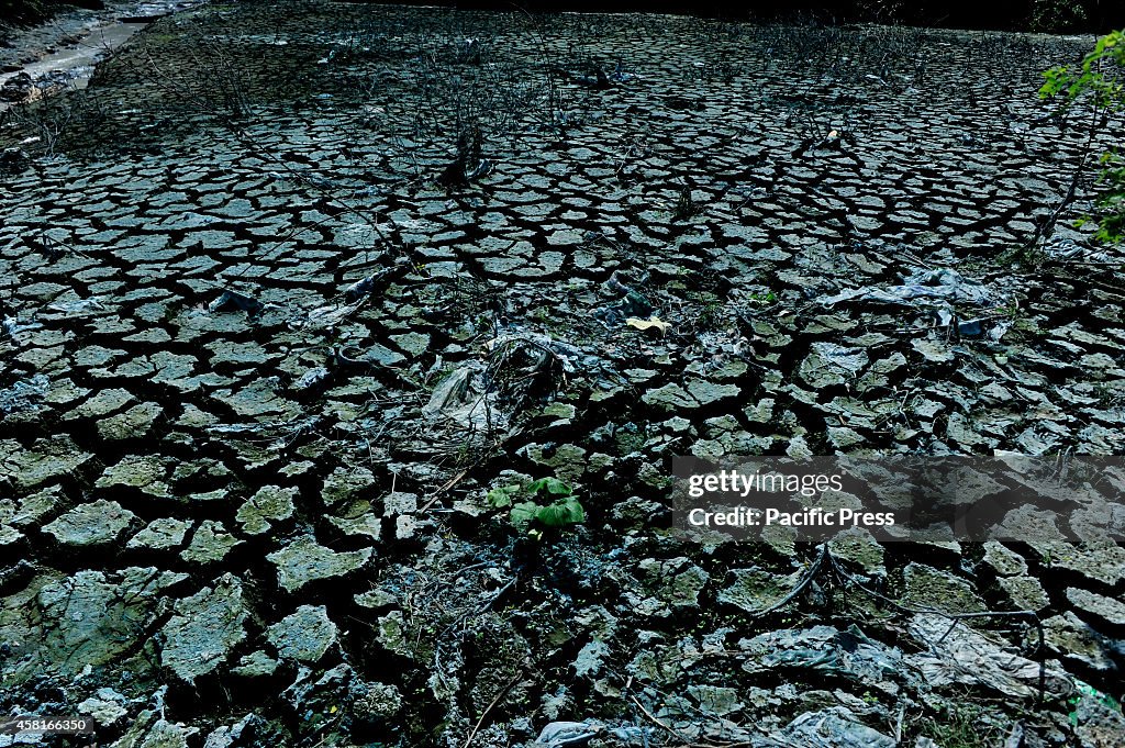 Soil, water and the environment become polluted by...