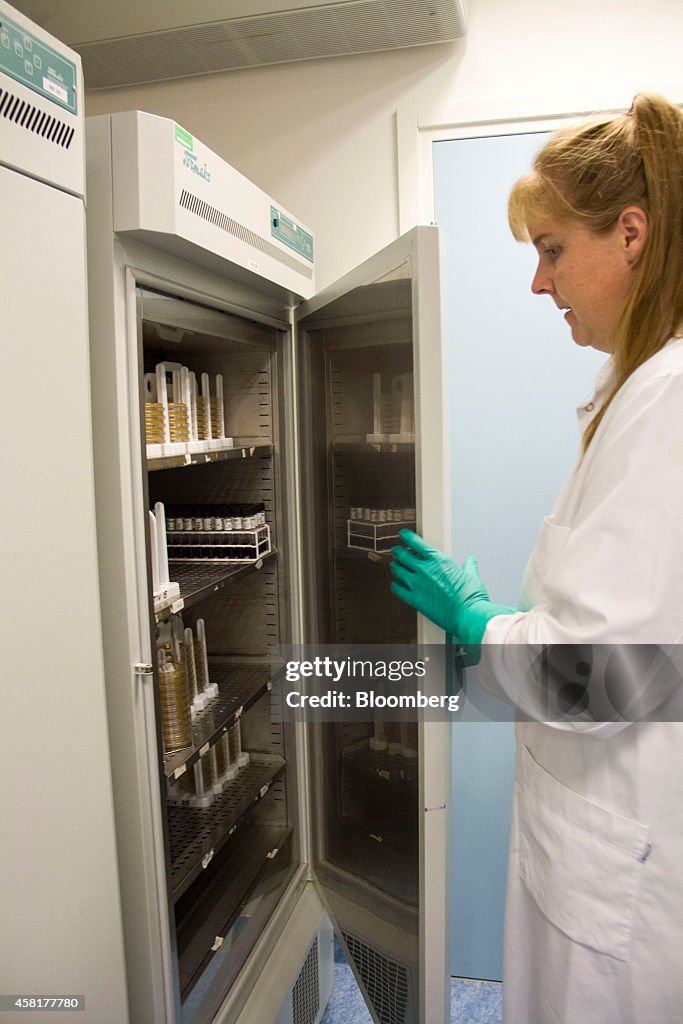 Vaccine Research At Bavarian Nordic A/S Pharmaceuticals