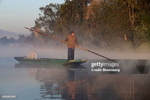 Man rows his "trajinera", or gondola, at dawn past one of the the artificial islands, known as "chinampas," on a canal at Lake Xochimilco in Mexico...