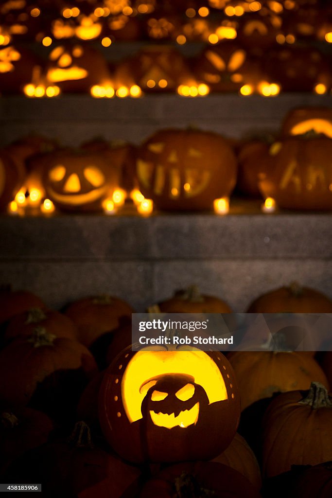 Installation Of 3,000 Pumpkins Unveiled In London