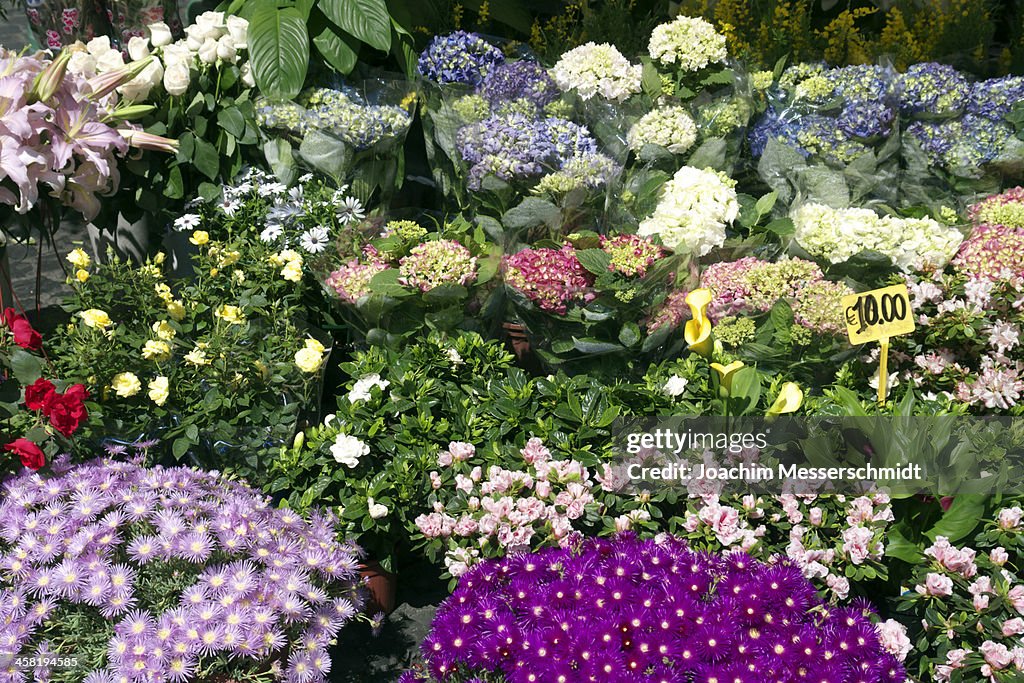 Flowers at Campo de Fiori