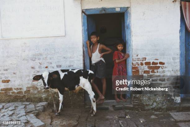 Dalit household in Bihar, India, 1996. Dalit refers to the 'untouchables' of the Indian caste system.