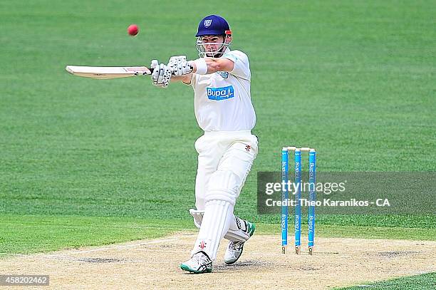 Peter Nevill of the Blues plays a shot which got him out off the bowling of John Hastings of the Bushrangers during day two of the Sheffield Shield...