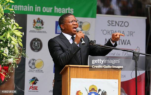 Sports Minister Fikile Mbalula speaks during the funeral service of the late Senzo Meyiwa at Moses Mabhida Stadium on November 01, 2014 in Durban,...