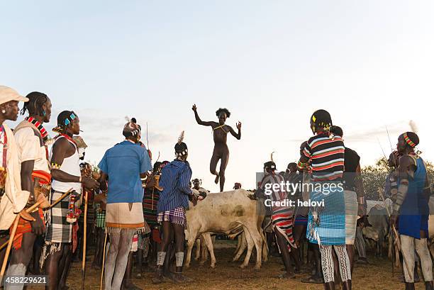 bull jumping ceremony - hamer tribe stock pictures, royalty-free photos & images