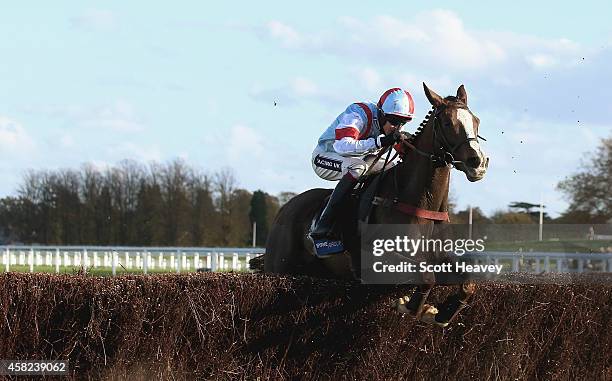 Stone Light ridden by Aidan Coleman during the Byrne Group Handicap Steeple Chase at Ascot Racecourse on November 1, 2014 in Ascot, England.