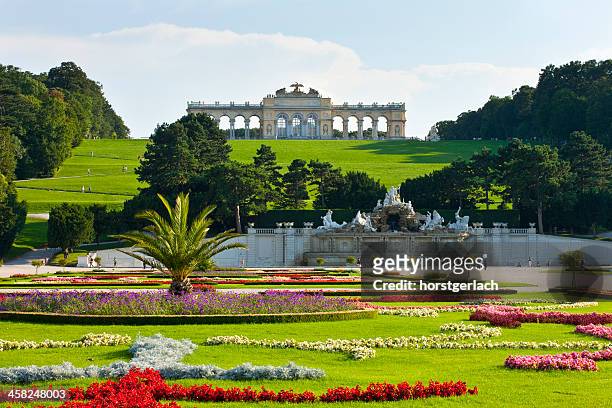 vienna, schönbrunn palace - schonbrunn palace stock pictures, royalty-free photos & images