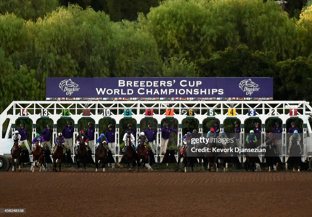 2014 Breeders' Cup Classic