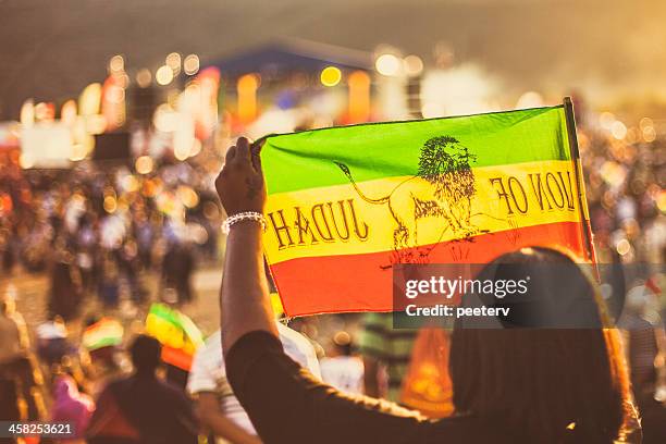 reggae crowd with rasta flags. - rastafarian stock pictures, royalty-free photos & images