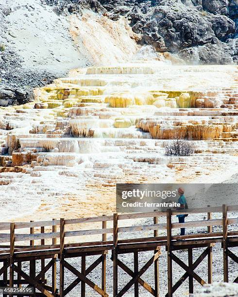 mammoth hot springs yellowstone - one boy only stock pictures, royalty-free photos & images