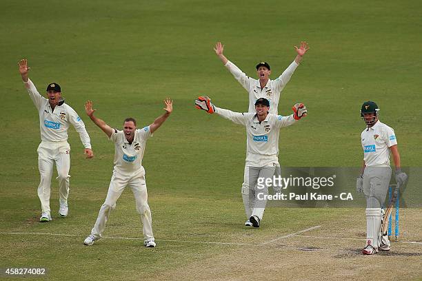 Shaun Marsh, Nathan Rimmington, Sam Whiteman and Adam Voges of Western Australia appeal for the wicket of Xavier Doherty of Tasmania during day three...