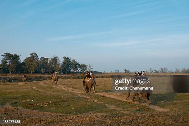 elephant ride in sauraha, nepal - chitwan stock pictures, royalty-free photos & images