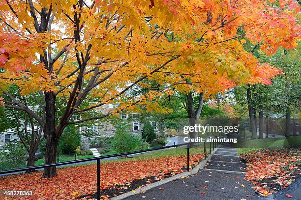 lehigh university in autumn - bethlehem pennsylvania stock pictures, royalty-free photos & images