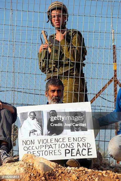 palestinians and non-violence - non violence stock pictures, royalty-free photos & images