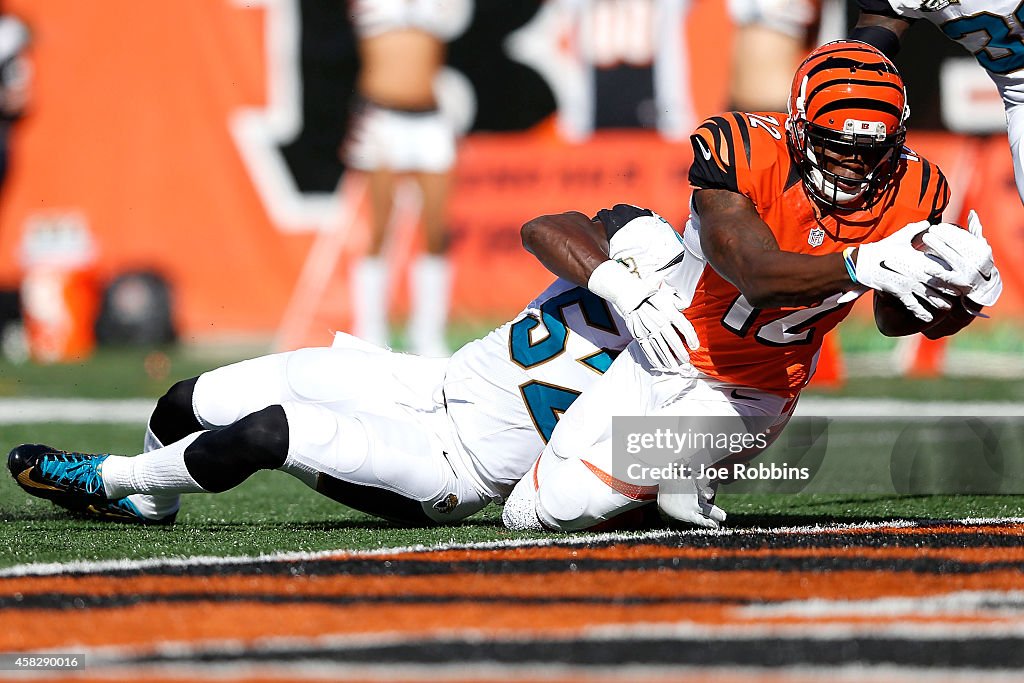 Jacksonville Jaguars v Cincinnati Bengals