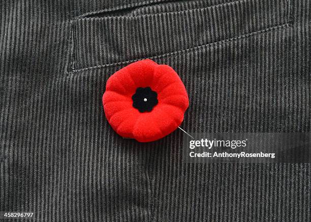poppy sur la veste - coquelicot photos et images de collection