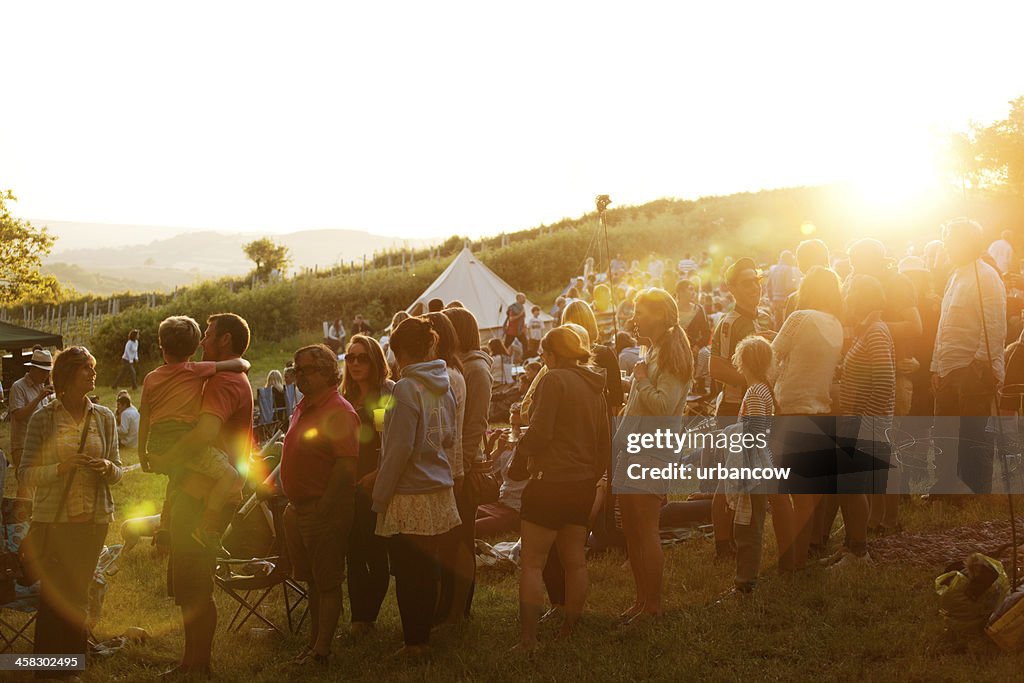 Audience at a live music event