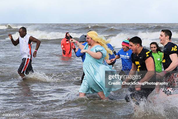 swimmers wading polar bear plunge - charity gala 2012 stock pictures, royalty-free photos & images