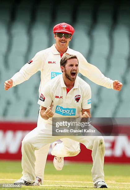 Chadd Sayers of the Redbacks ccelebrates after taking a wicket during day four of the Sheffield Shield match between South Australia and Queensland...