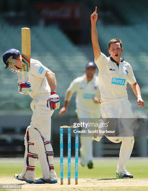 Chris Tremain of Victoria celebrates after dismissing Scott Henry of New South Wales during day four of the Sheffield Shield match between Victoria...