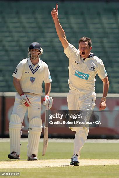 Chris Tremain of the Bushrangers celebrates taking the wicket of Scott Henry of the Blues during day four of the Sheffield Shield match between...