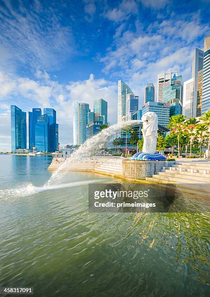 beautiful morning sunshine in merlion park singapore - merlion stockfoto's en -beelden