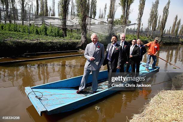 Prince Charles, Prince of Wales travels on a punt as he visits a 'Chinampas' or Floating Farm just outside Mexico City on November 3, 2014 in Mexico...