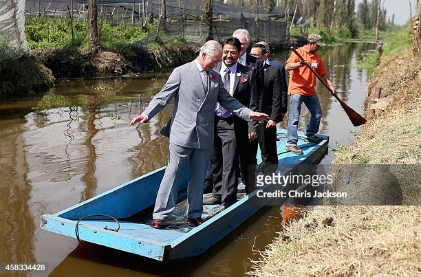 Prince Charles, Prince of Wales travels on a punt as he visits a 'Chinampas' or Floating Farm just outside Mexico City on November 3, 2014 in Mexico...