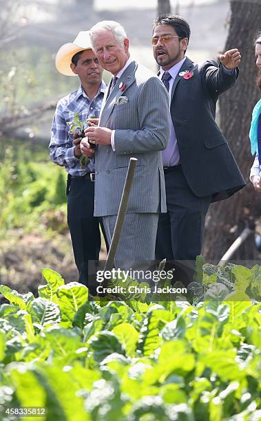 Prince Charles, Prince of Wales visits a 'Chinampas' or Floating Farm just outside Mexico City on November 3, 2014 in Mexico City,Mexico. The Royal...