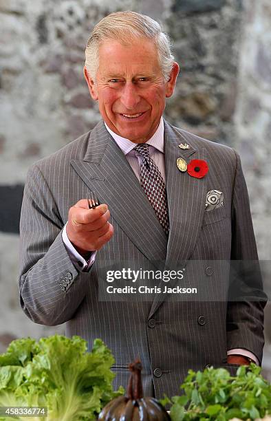 Prince Charles, Prince of Wales samples different Mexican food under the guidance of famous Mexican chef Enrique Olvera at the Museo Dolores Olmedo...