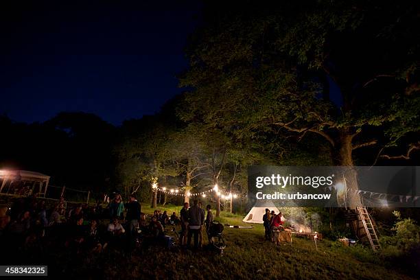 audience at a live music event - entertainment tent bildbanksfoton och bilder