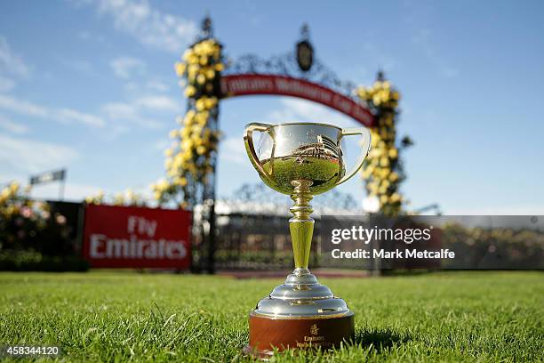 The Melbourne Cup is on display on Melbourne Cup Day at Flemington Racecourse on November 4, 2014 in Melbourne, Australia.