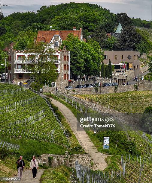 steinburg - würzburg foto e immagini stock