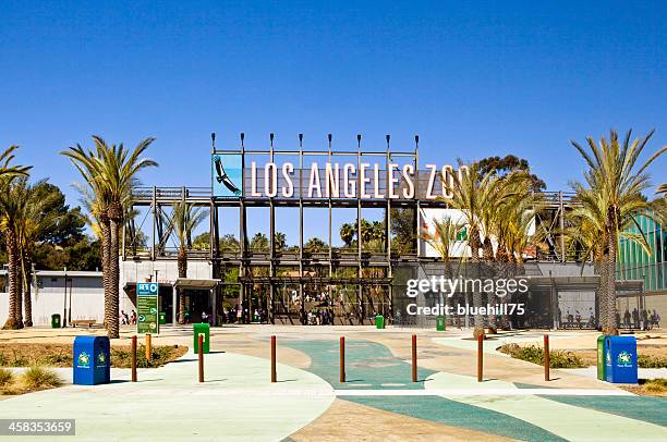 zoológico de los ángeles - zoológico de los angeles fotografías e imágenes de stock