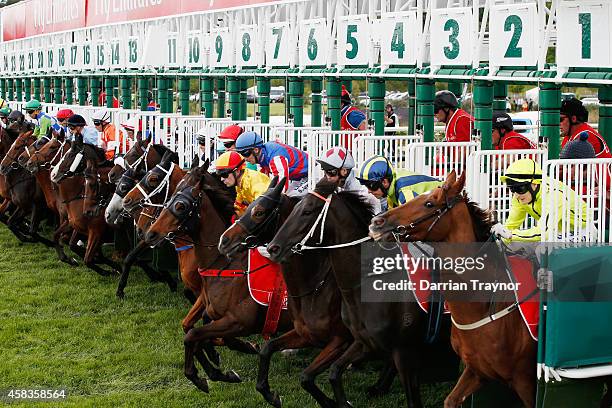 The field jumps from the barriers in race 7 the Emirates Melbourne Cup on Melbourne Cup Day at Flemington Racecourse on November 4, 2014 in...