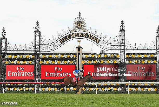 Ryan Moore riding Protectionist wins race 7 the Emirates Melbourne Cup on Melbourne Cup Day at Flemington Racecourse on November 4, 2014 in...