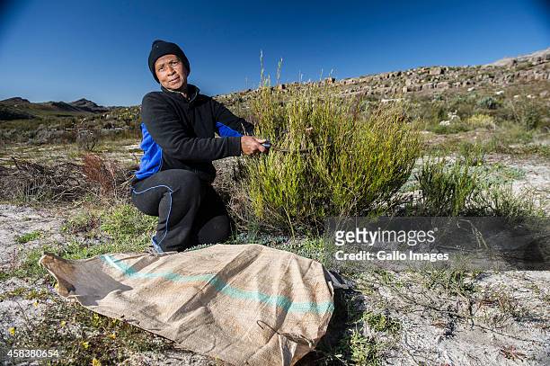 Liena van der Westhuizen during an interview on September 17, 2014 in Clanwilliam. Heuningvlei is a small village situated in the heart of the...