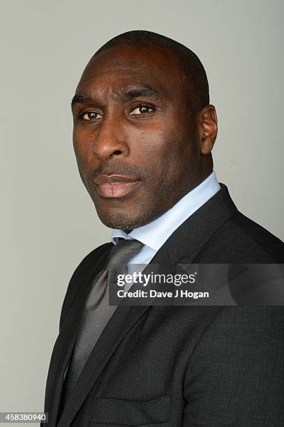 Former professional footballer Sol Campbell attends the Walpole British Luxury Awards 2014 at the Victoria & Albert museum on November 3, 2014 in...