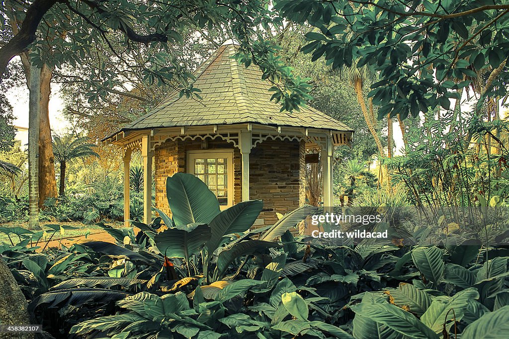 Durban Botanical gardens