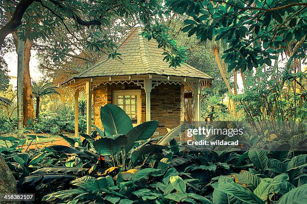 durban botanical gardens - durban botanical gardens stock pictures, royalty-free photos & images