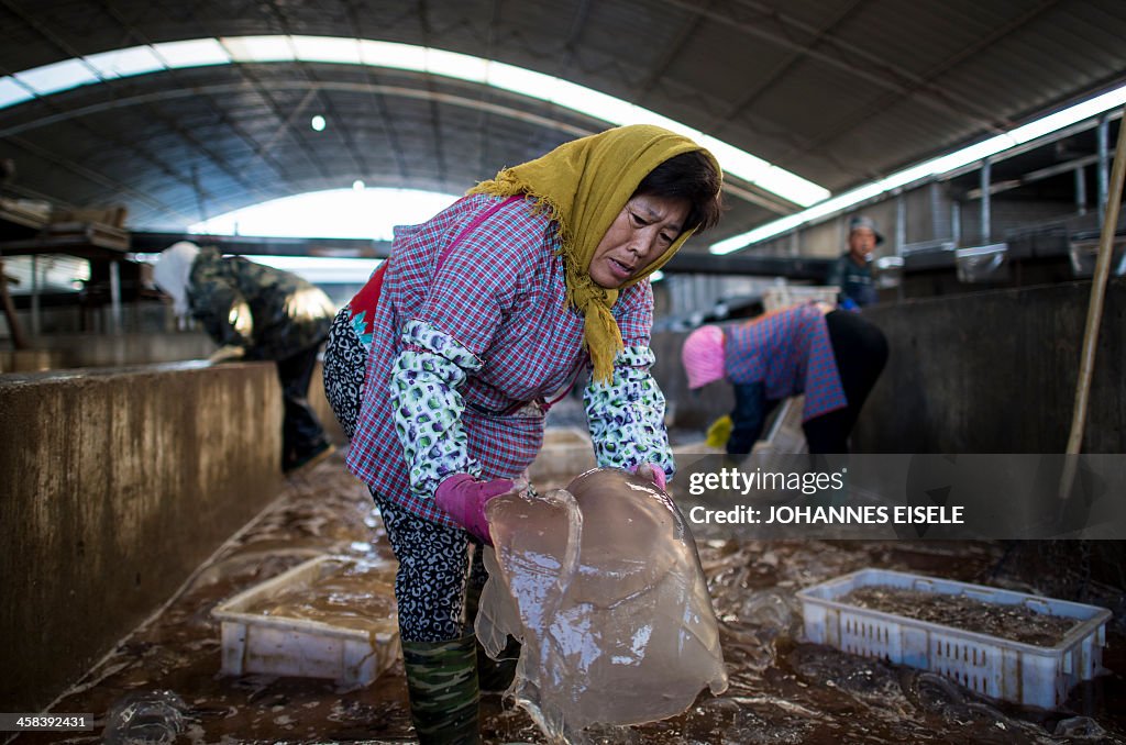 CHINA-ENVIRONMENT-ANIMAL-FOOD