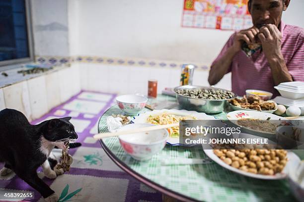 This picture taken on September 19, 2016 shows Qin Yusheng having dinner while a cat steals some food from the table in Xianrendao next to Yingkou...