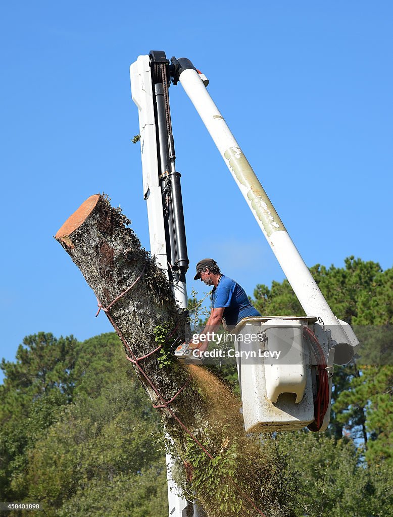 Overhanging Oak Removed on TPC Sawgrass Stadium Course's 6th Hole