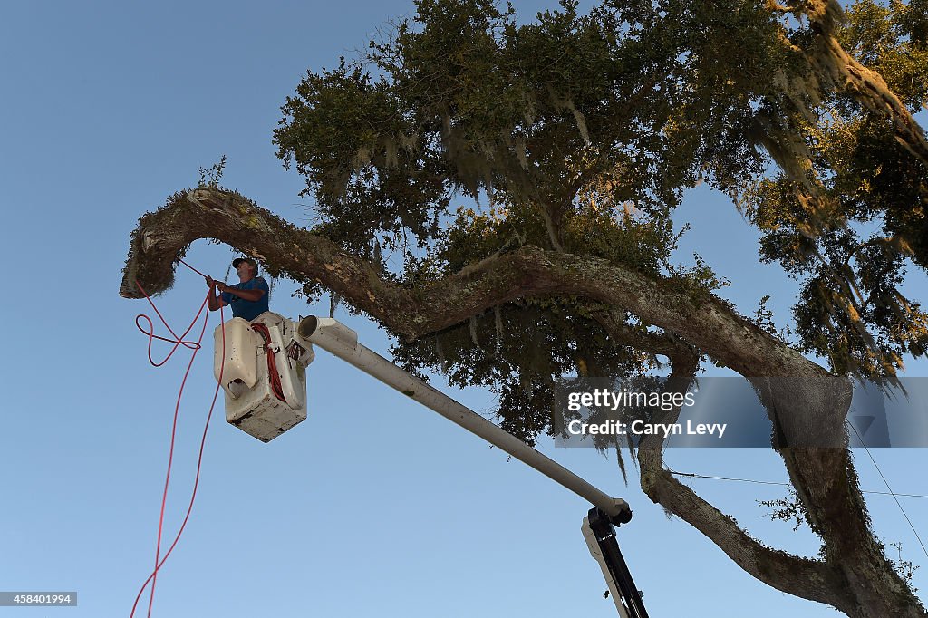 Overhanging Oak Removed on TPC Sawgrass Stadium Course's 6th Hole