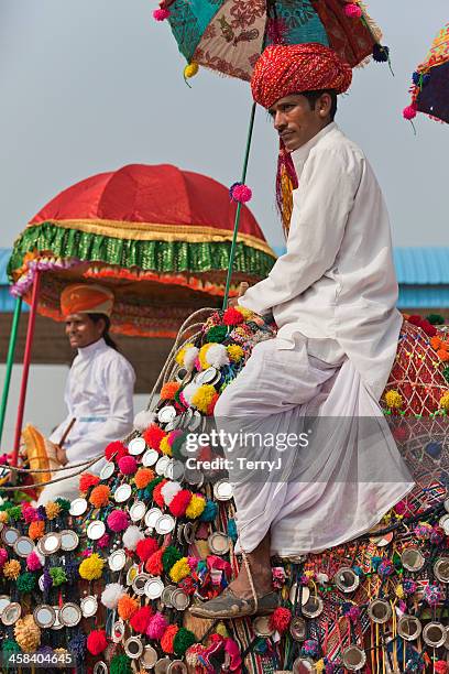 camel fair - indian prince stock pictures, royalty-free photos & images