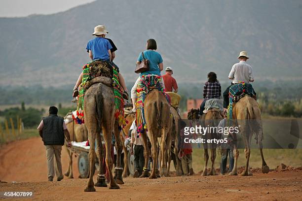 camel market - offspring culture tourism festival stock pictures, royalty-free photos & images